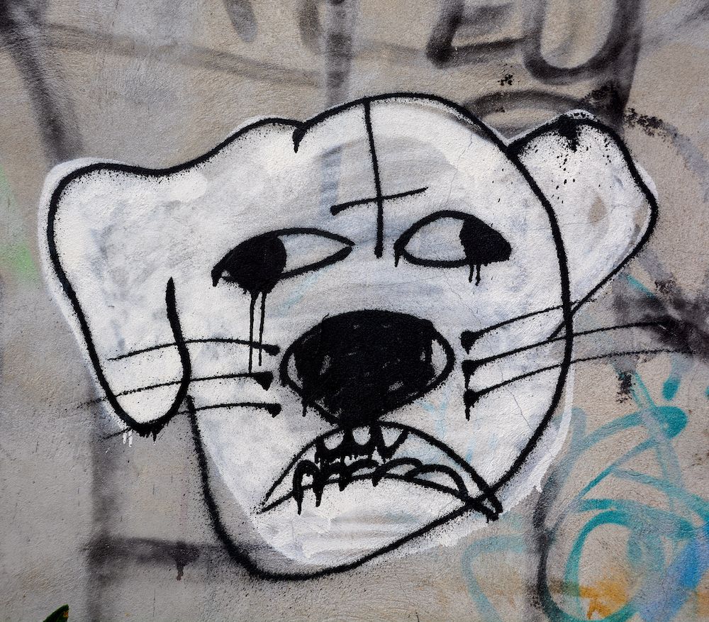 My First Rant of 2021